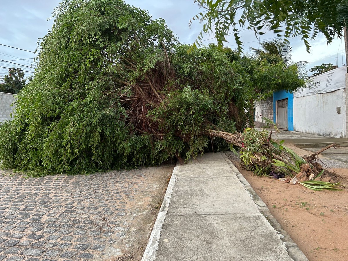 com-ventos-superiores-a-30-km-h-rn-registra-em-julho-rajadas-tr-s