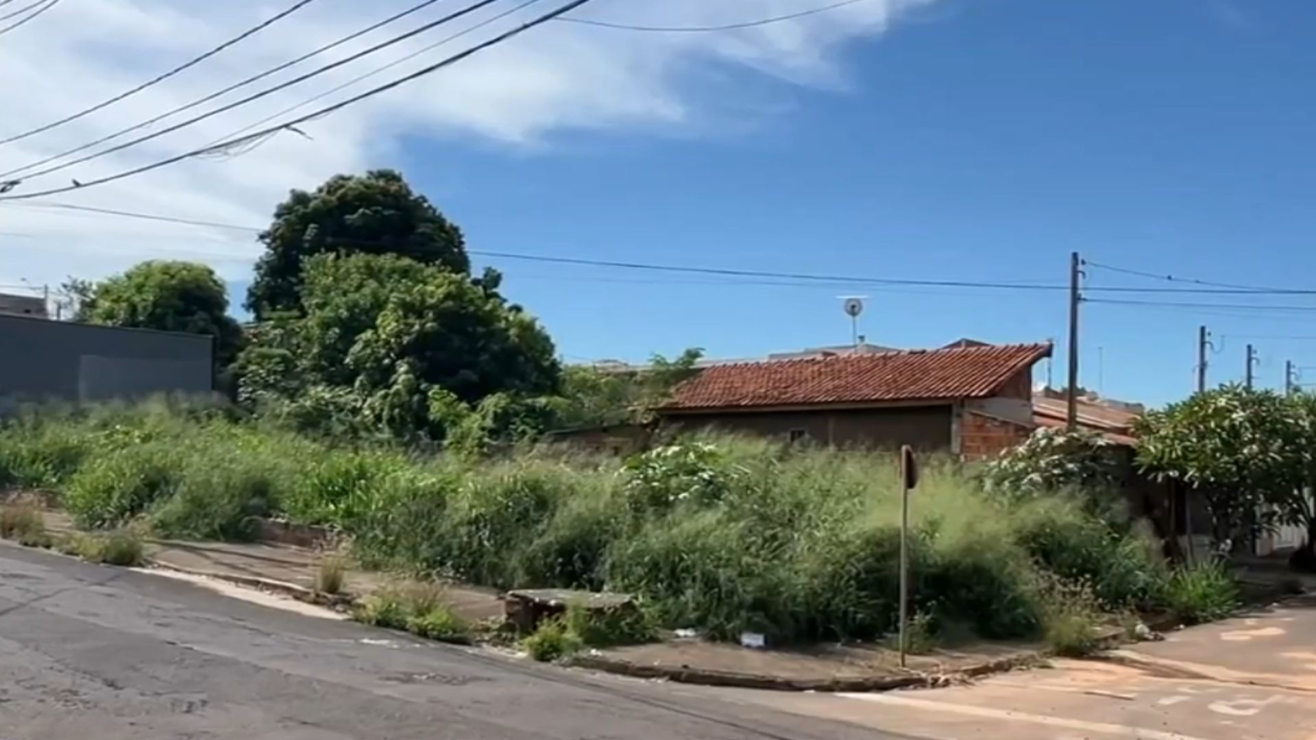 Proprietários de terrenos sujos têm até 31 de janeiro para fazer limpeza em Araçatuba; multa pode chegar a 10% do valor venal do imóvel