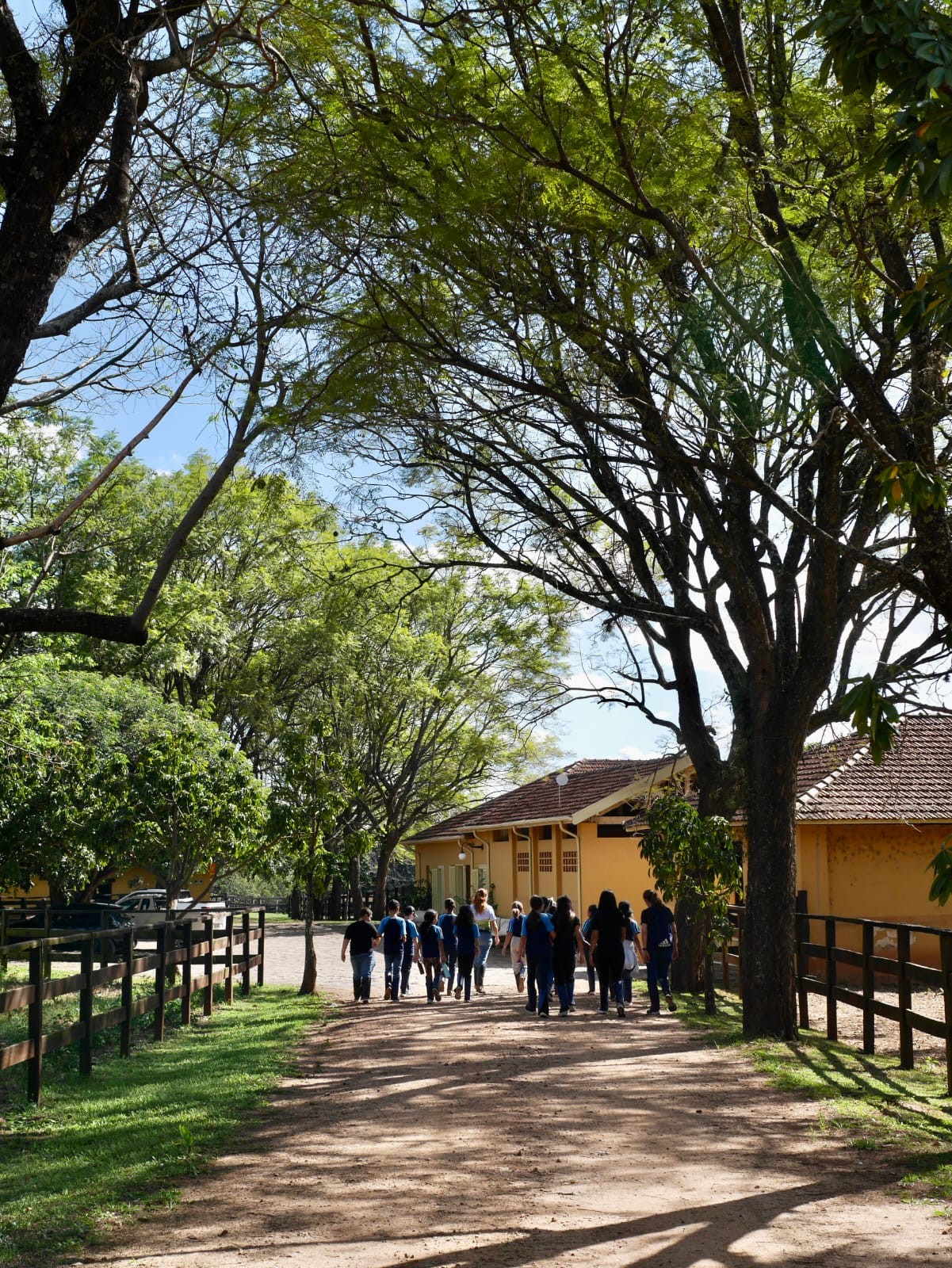 Fazenda passa por restauração e se torna RPPN em São João da Boa Vista (SP)