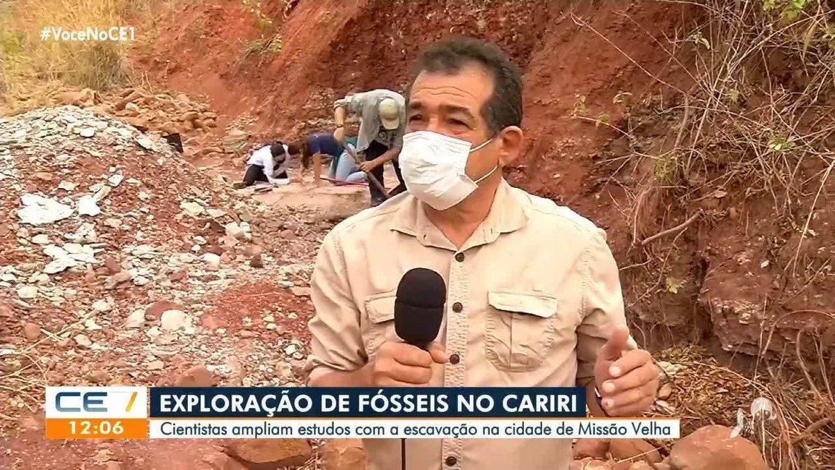 Justiça do Ceará autoriza exploração do jogo do bicho, Ceará