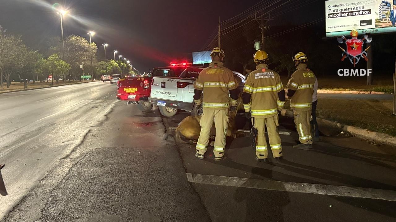 Você Não Tá Convidada pro Meu Bat Mitzvá!