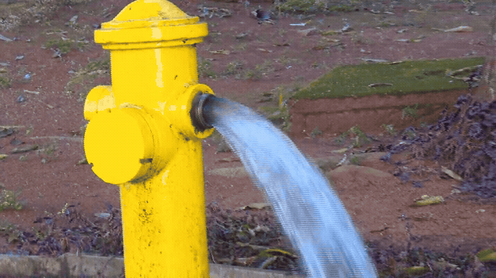 Vazamento de água limpa inunda quadra e invade comércios em Brasília; veja IMAGENS