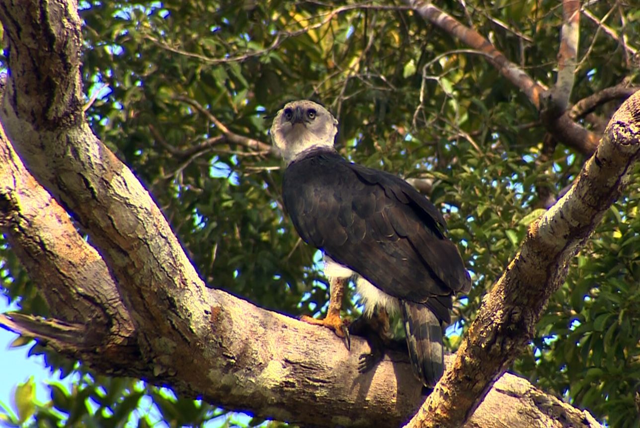 Você Não Tá Convidada pro Meu Bat Mitzvá!