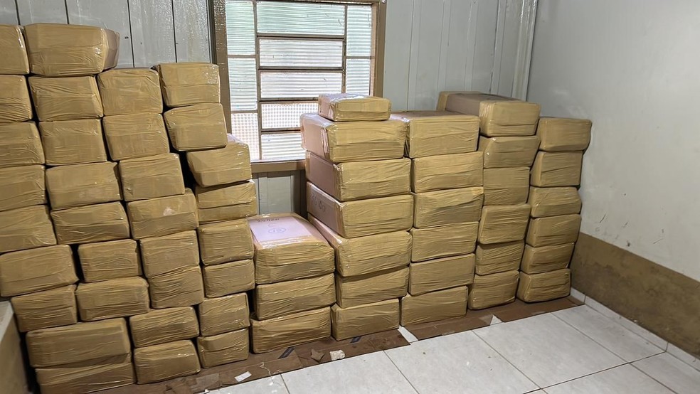 Tabletes de maconha estava em uma casa em Ponta Porã. — Foto: PF/ Divulgação 