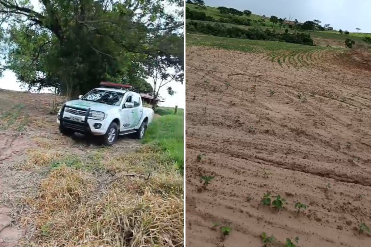 Homem é multado por destruir vegetação em área de preservação permanente para cultivar soja no interior de SP
