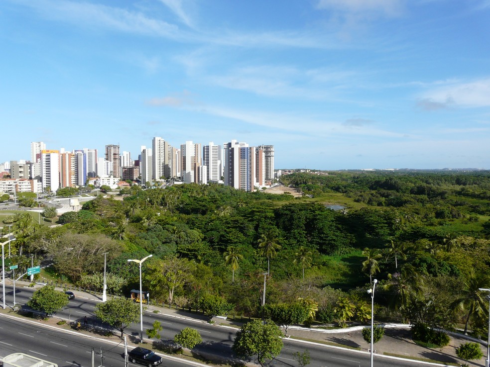 Parque Ecológico do Cocó é área de preservação permanente — Foto: Governo do Estado/Divulgação