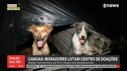 Animais são resgatados após enchentes em Canoas (RS) - Programa: Jornal GloboNews edição das 18h 
