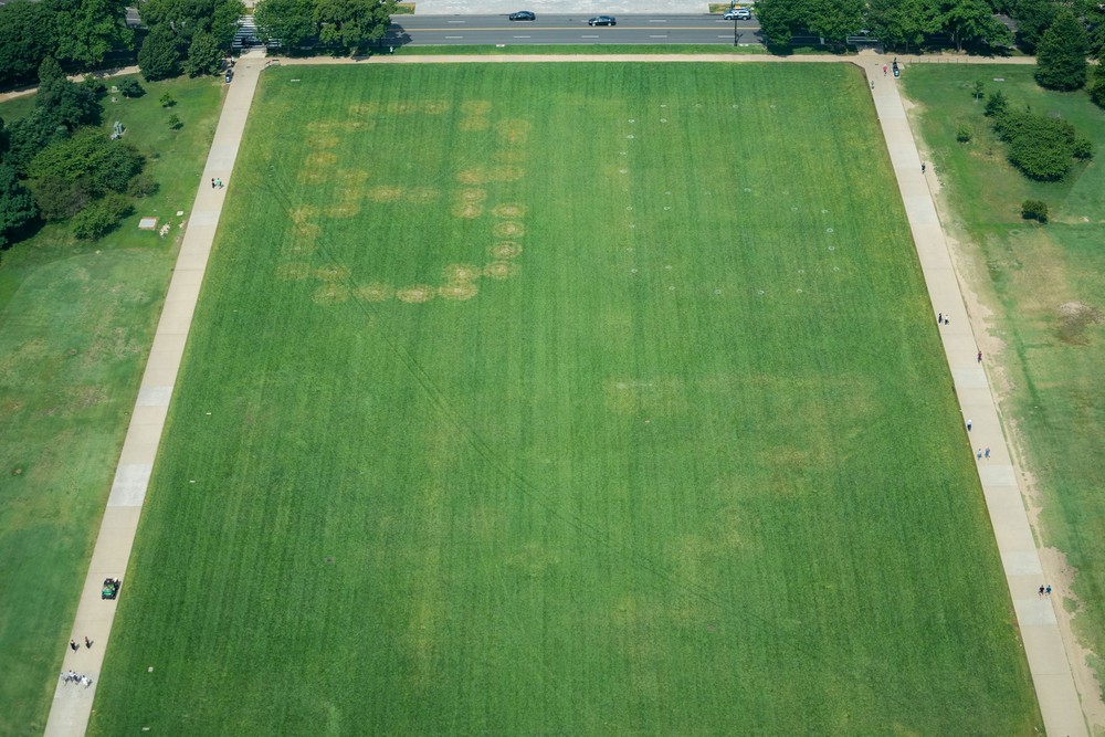 Autoridades dos Estados Unidos investigam a aparição de números em protesto no National Mall