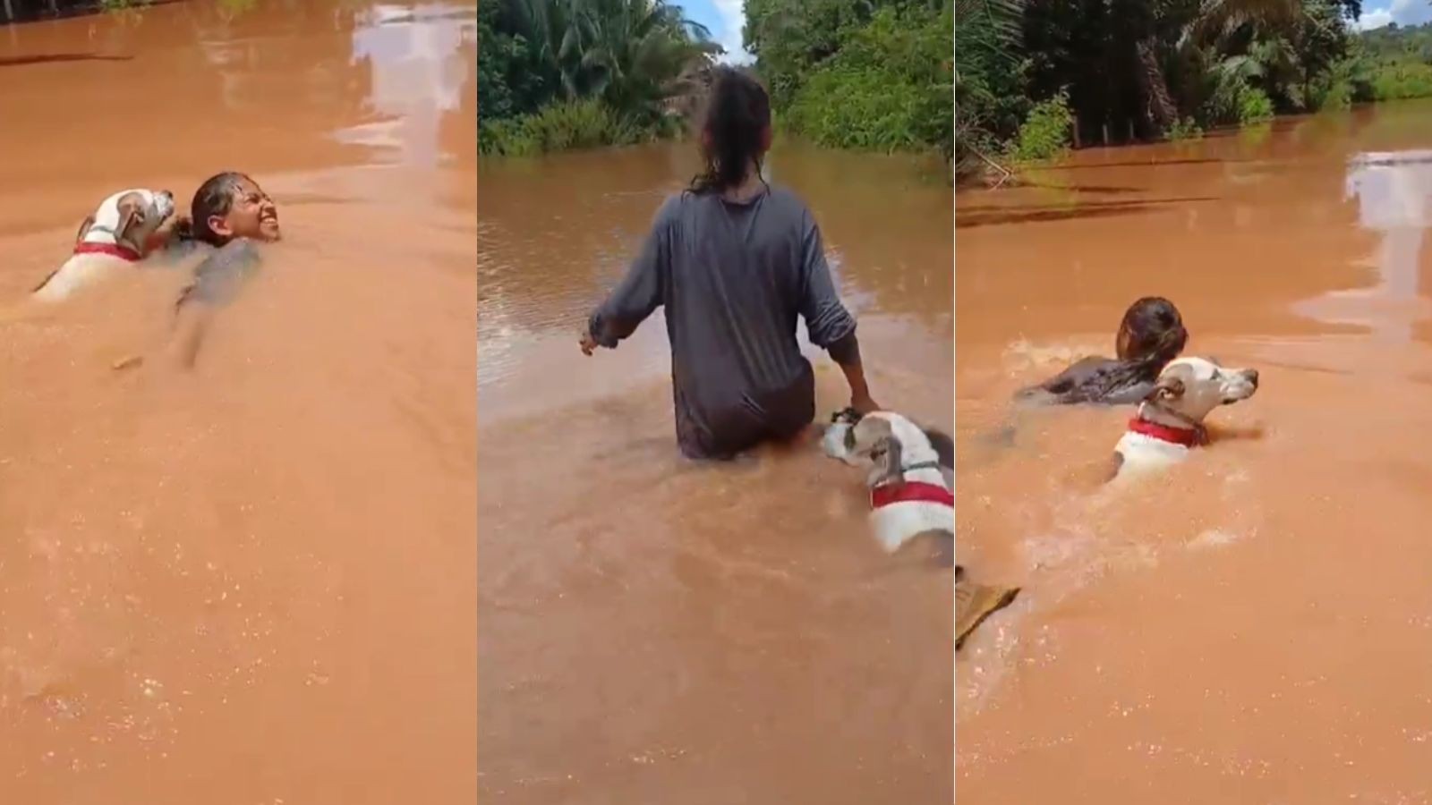 Menina de 11 anos com cadela atravessa trecho alagado de 200 m  para voltar para casa no PI