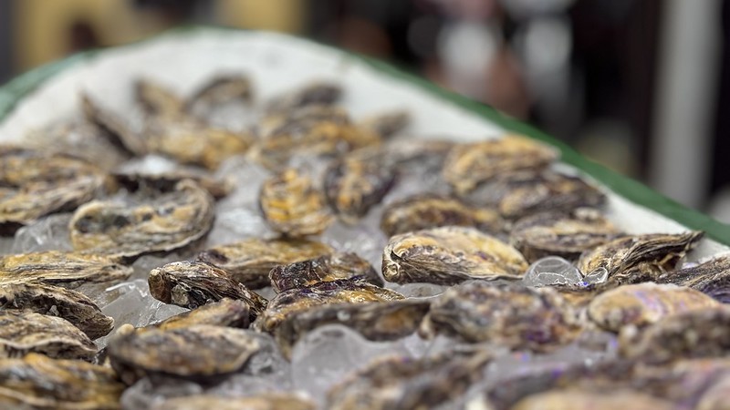 Florianópolis se destaca na economia do mar e lidera produção de moluscos no Brasil