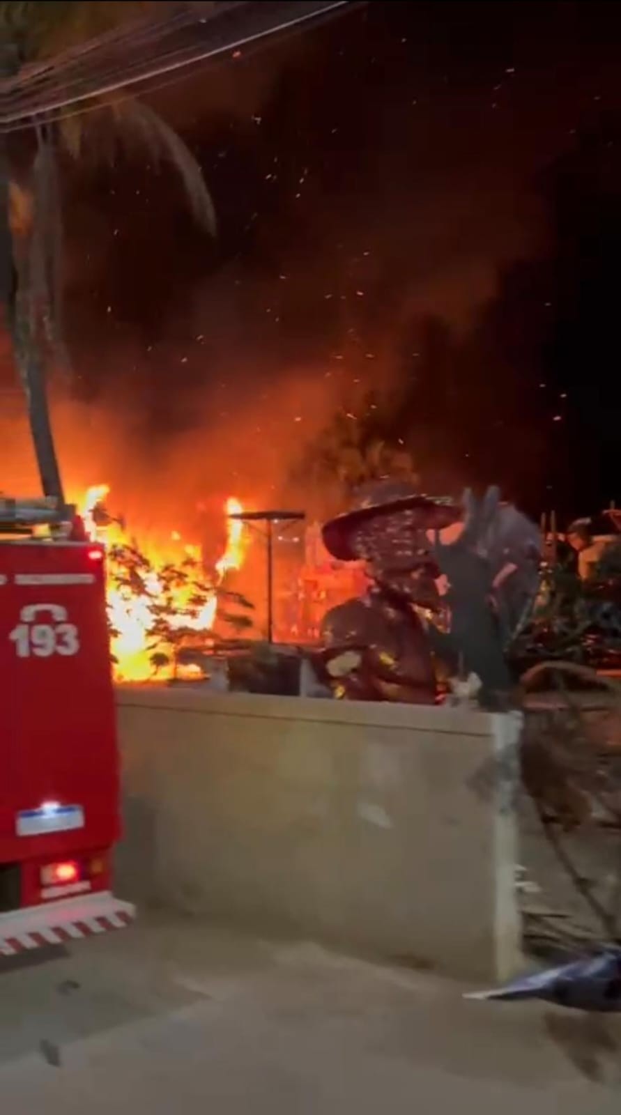 VÍDEO: Incêndio atinge carros alegóricos de Escola de Samba em Três Rios