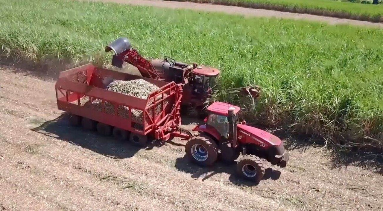 Os 20 anos de história da Tracan com foco na inovação