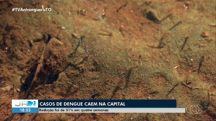Casos de dengue caem nas últimas semanas em Palmas
