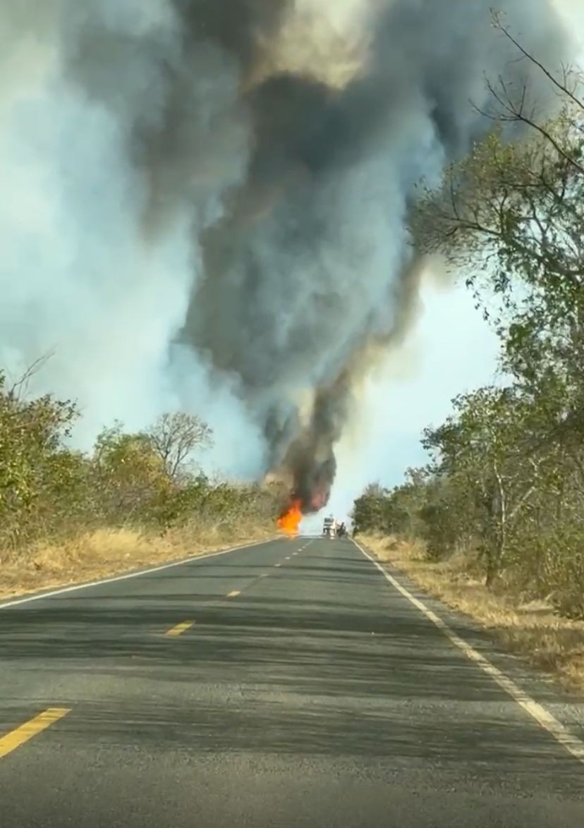 

Fogo consome área de mata equivalente a 300 campos de futebol no Norte de Minas