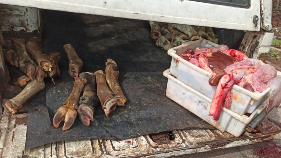 Carga de carne imprópria para o consumo é apreendida na BR-135; alimento seria vendido em feira de SL — Foto: Divulgação/PRF