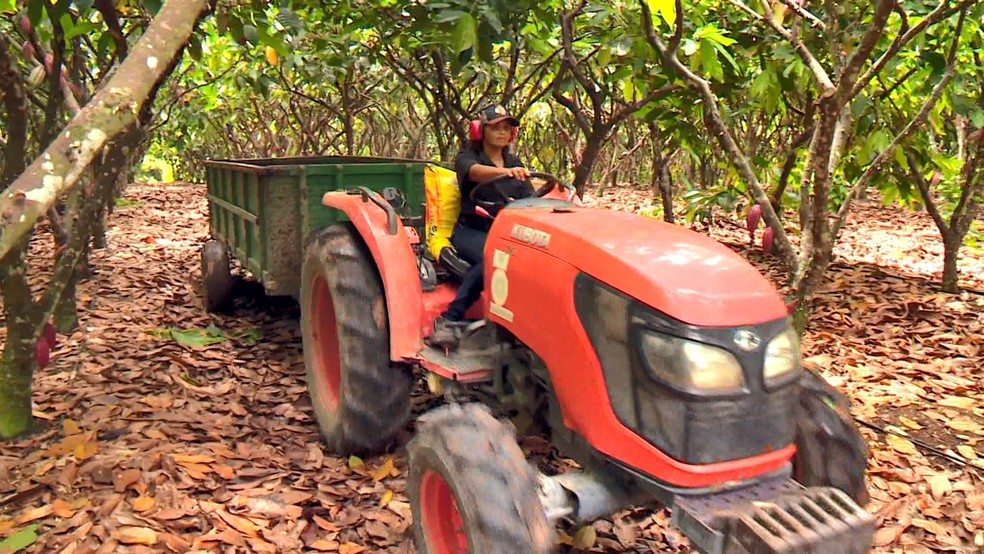 Patrícia Vieira da Silva é a primeira tratorista mulher de fazenda que produz cacau sustentável no Espírito Santo — Foto: Reprodução/TV Gazeta