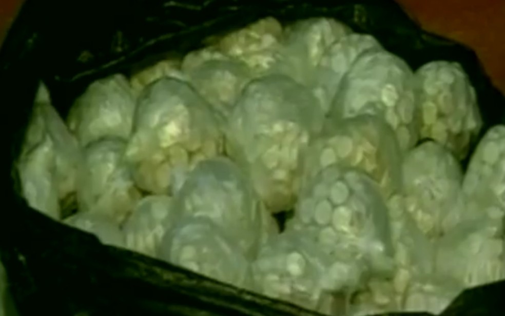 Comprimidos de ecstasy eram distribuídos na região noroeste paulista — Foto: Reprodução/TV TEM