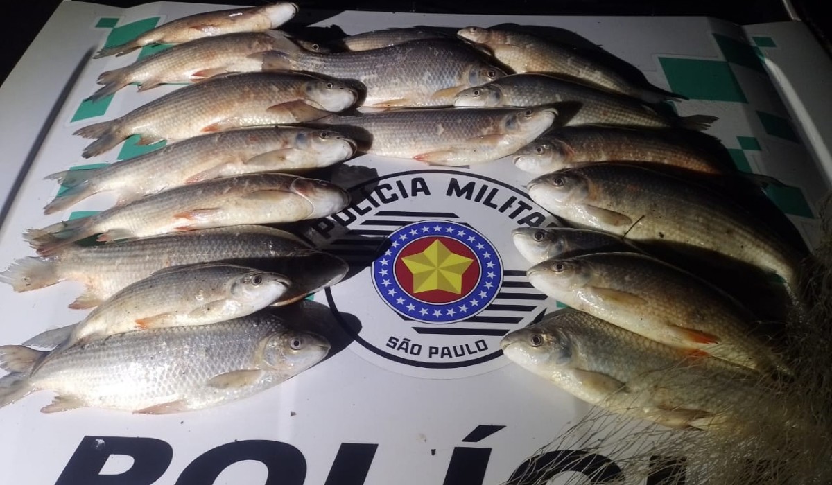 Dupla foge de fiscalização e abandona saco com quase 20 kg de peixes em rio no interior de SP