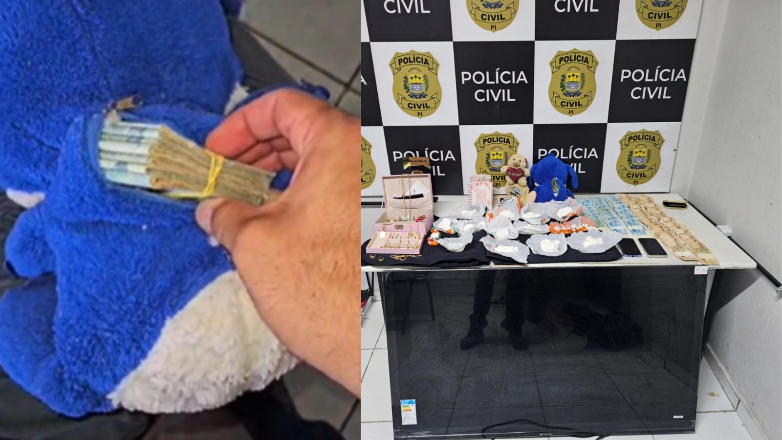 VÍDEO: Cão farejador encontra droga em ursos de pelúcia e casal é preso em Teresina