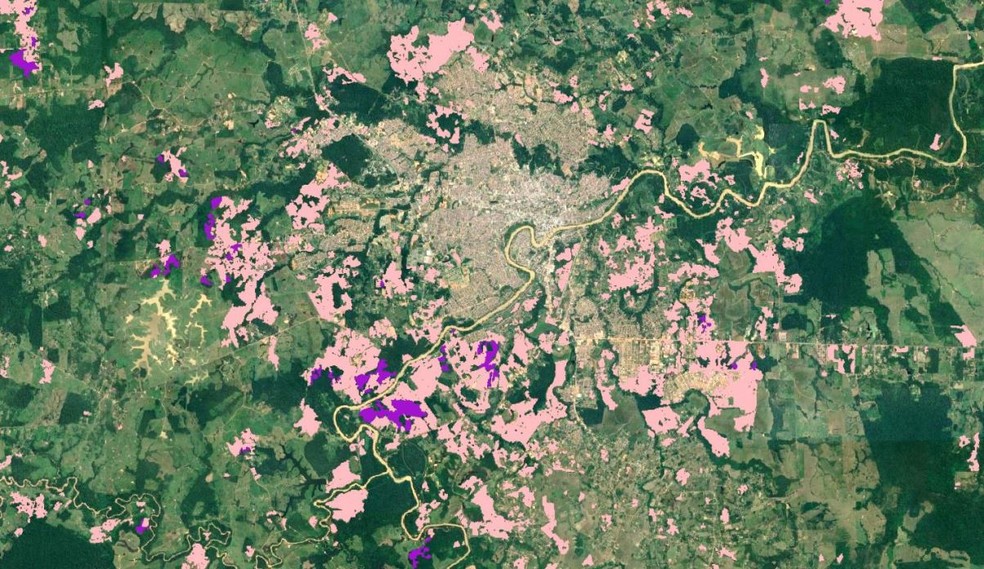 Queimadas (polígonos na cor rosa) e incêndios florestais (polígonos na cor violeta) no entorno da cidade de Rio Branco, Acre em 2022 — Foto: Reprodução