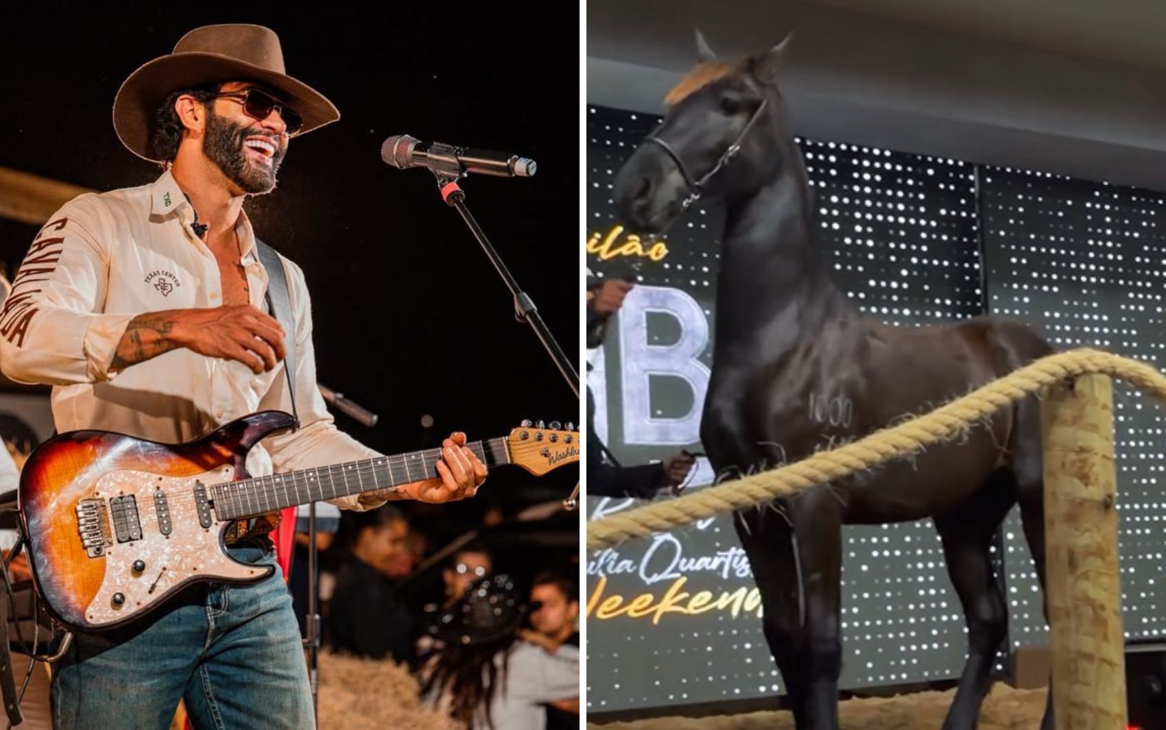 Gusttavo Lima vende cavalo por R$ 1,2 milhão em leilão de luxo e anuncia doação do dinheiro para hospital do câncer de Goiás
