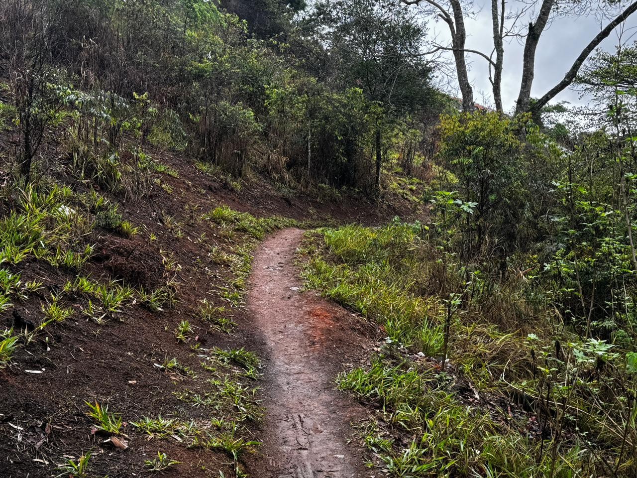 Supostos restos mortais de bebê são encontrados por crianças durante trilha em Juiz de Fora 