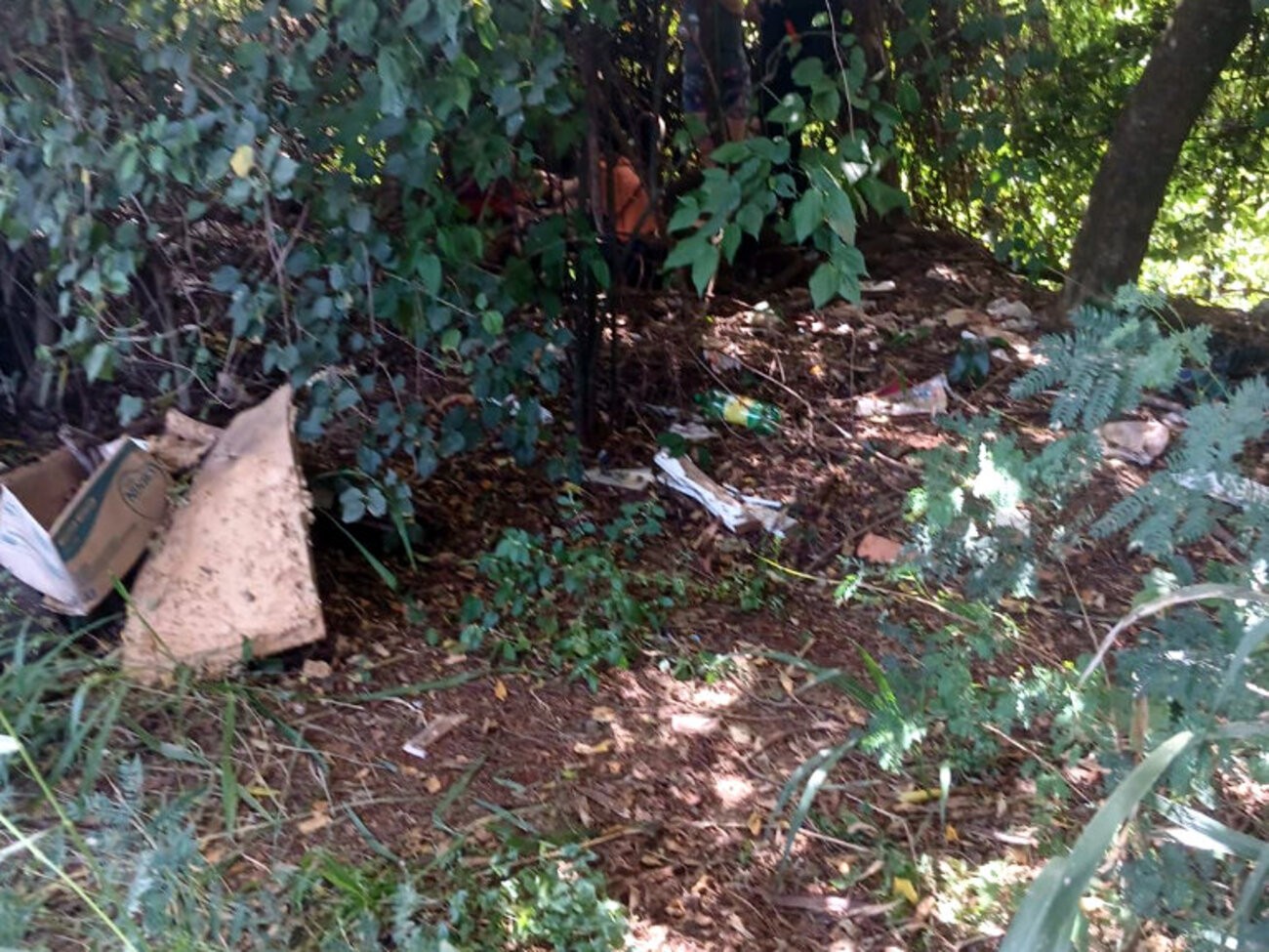 Mulher é encontrada morta em área de mata em Araras