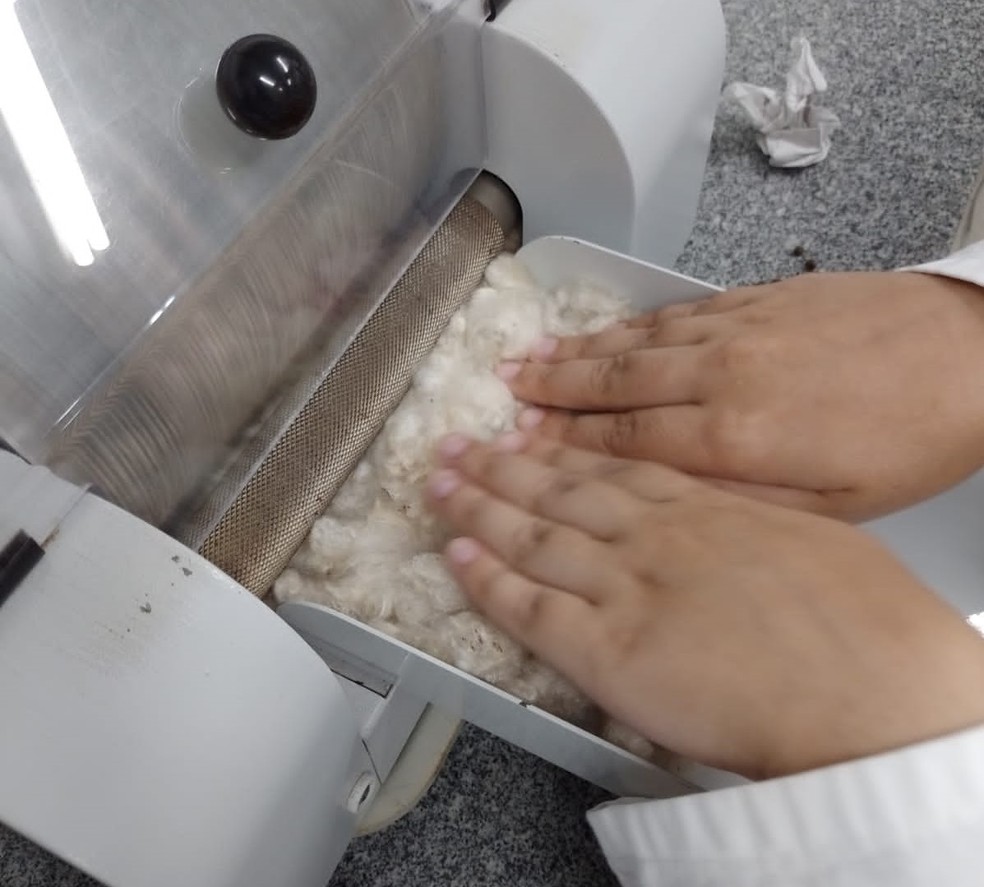 Filtro de proteção de máscara criada como novo elemento por pesquisadores da UFRN — Foto: Divulgação