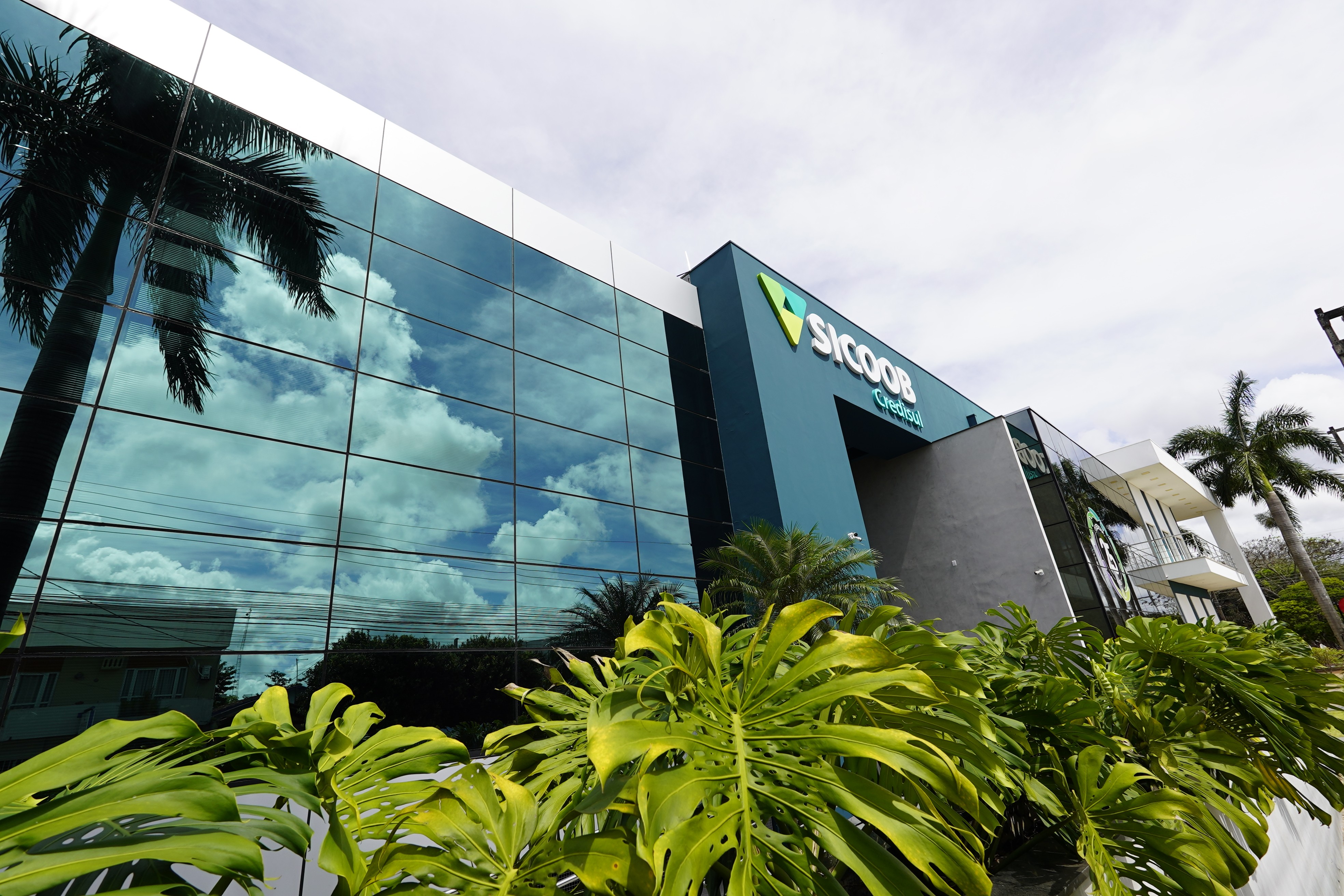 Delegação de organizações nacionais e internacionais visita Sicoob Credisul
