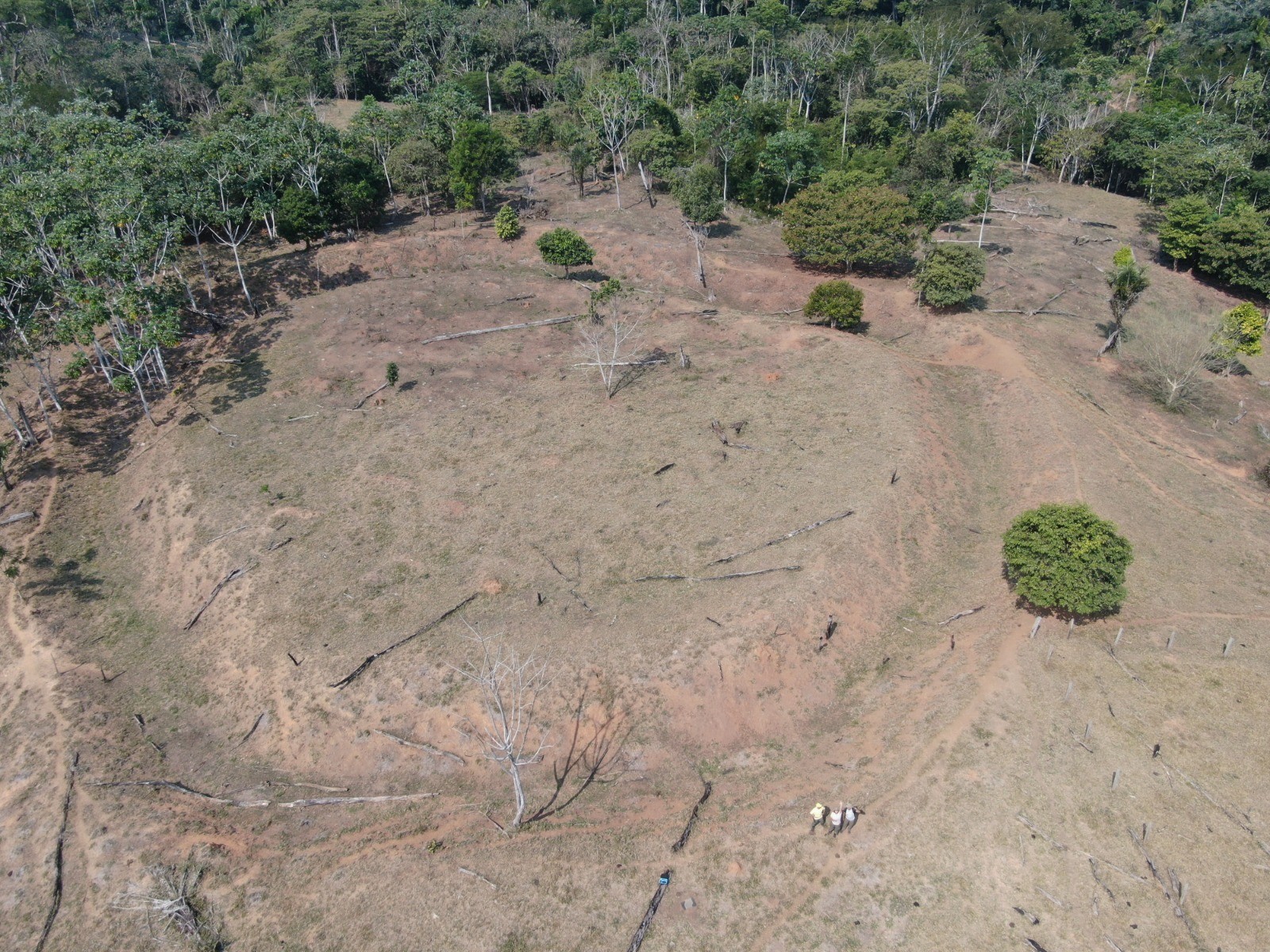 Dois geoglifos são encontrados no Acre durante expedição dentro da Reserva Chico Mendes 