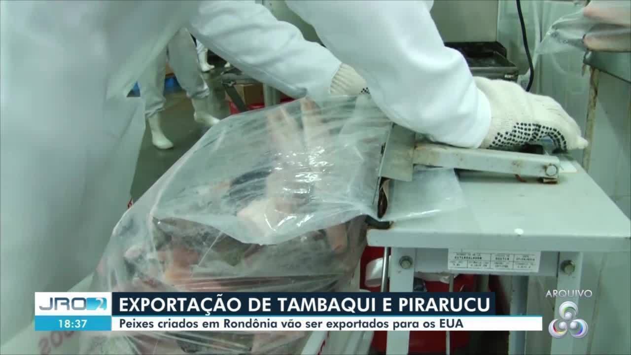 1ª exportação de peixe de Rondônia para os EUA