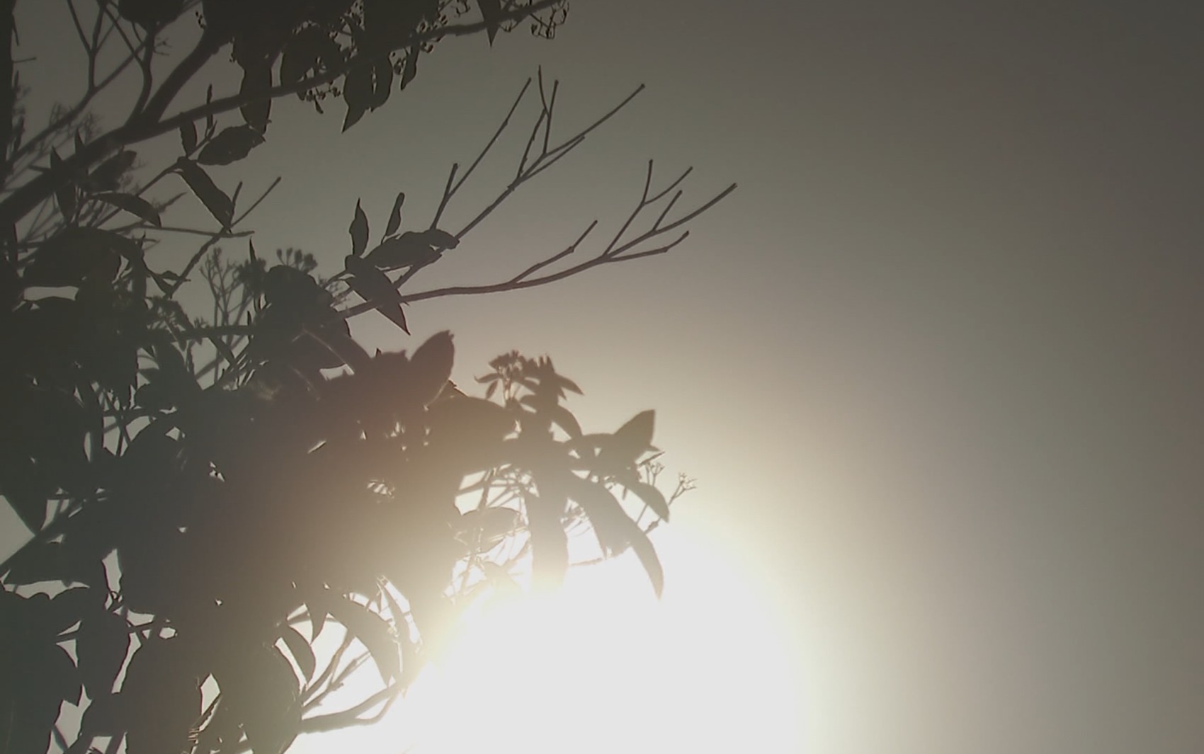 Frente fria marca início do inverno e derruba temperaturas na região de Ribeirão Preto, SP