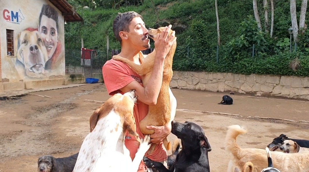 Protetor que cuida de 485 cães busca lar para os animais, em Teresópolis