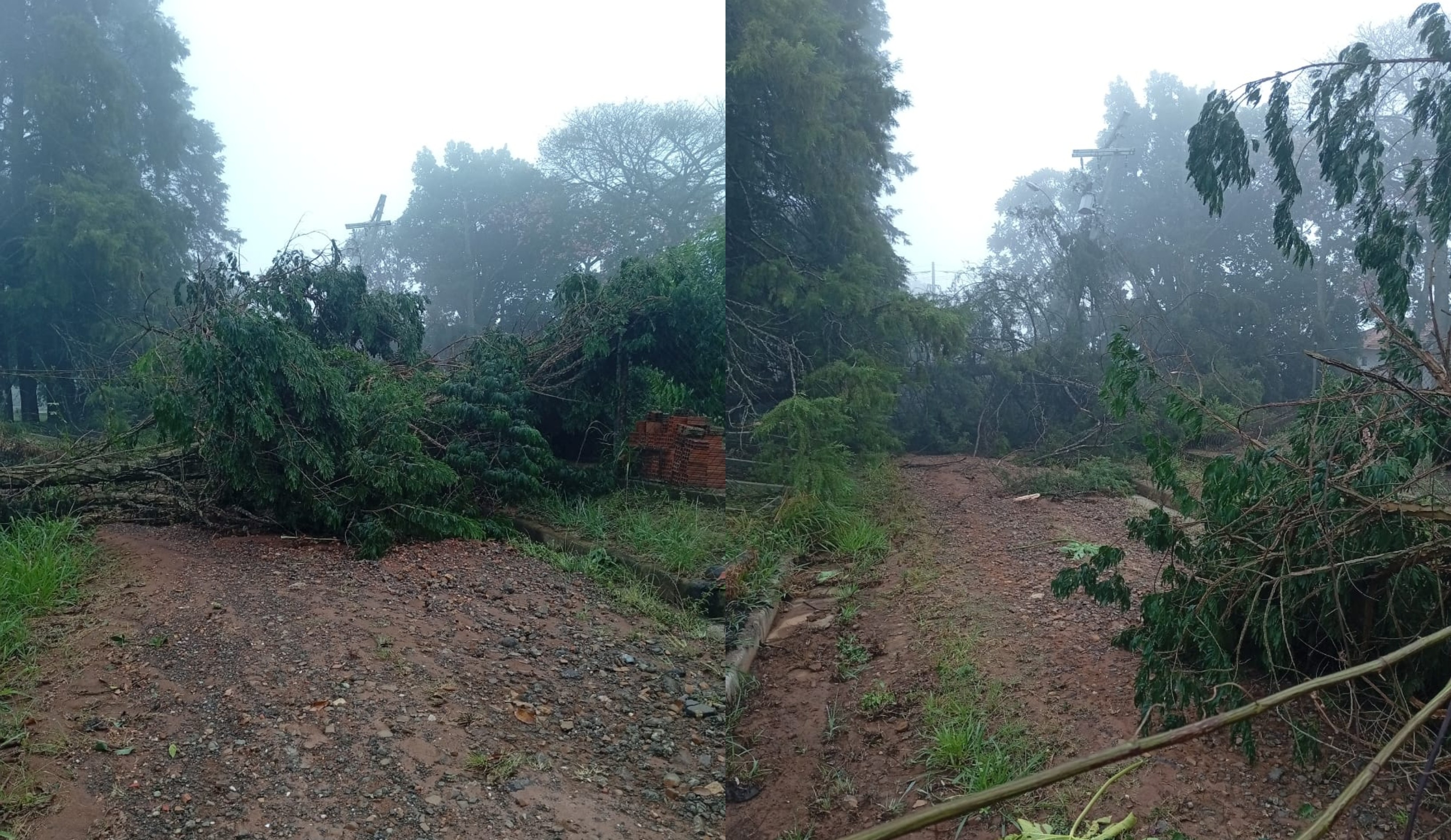 Chuva causa enxurrada em Itapeva e derruba árvores em Angatuba; moradores registram raios em Itapetininga