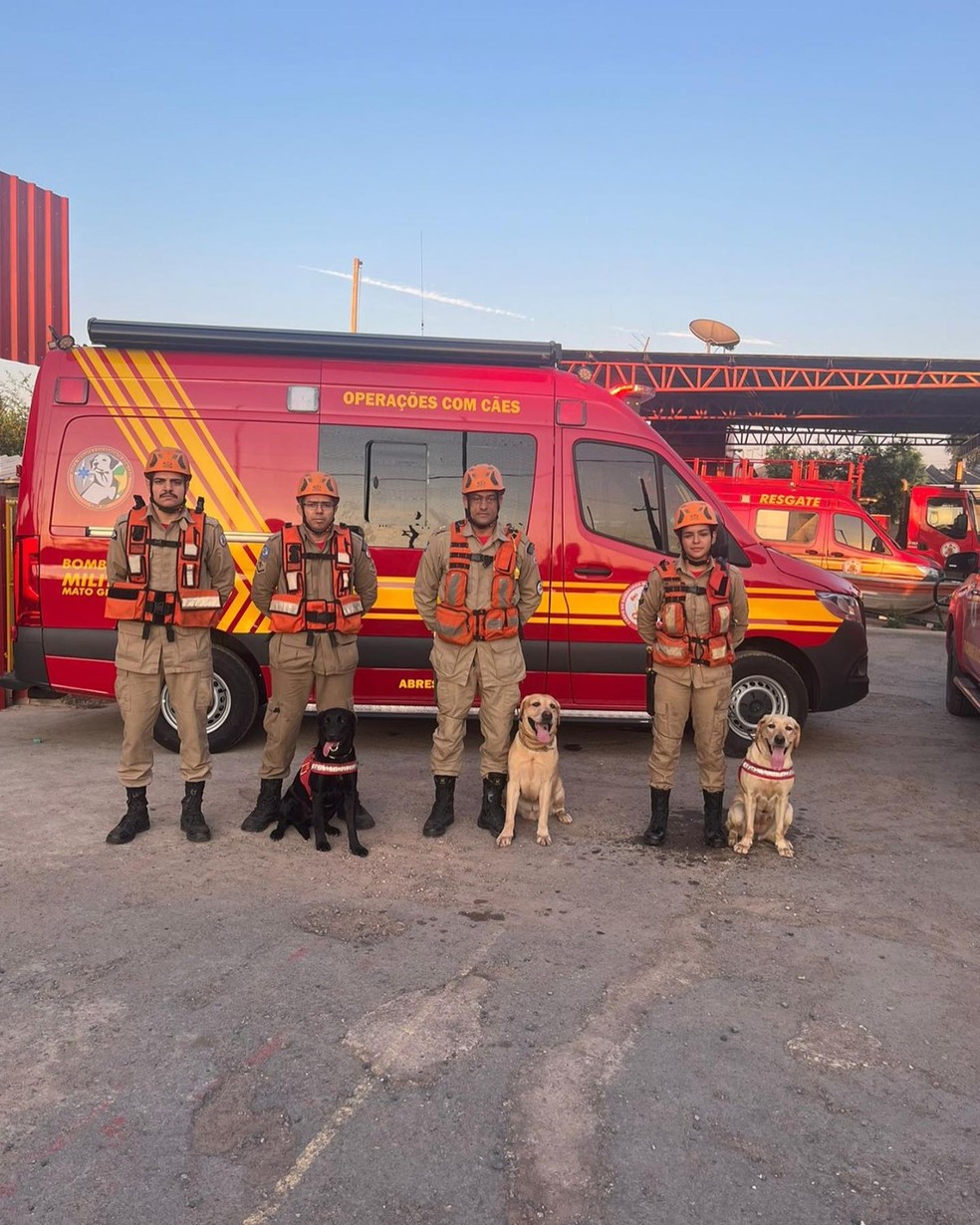 Maya, Bela e Thayron são cachorros  certificados pelo Conselho Nacional dos Corpos de Bombeiros Militares do Brasil — Foto: Reprodução