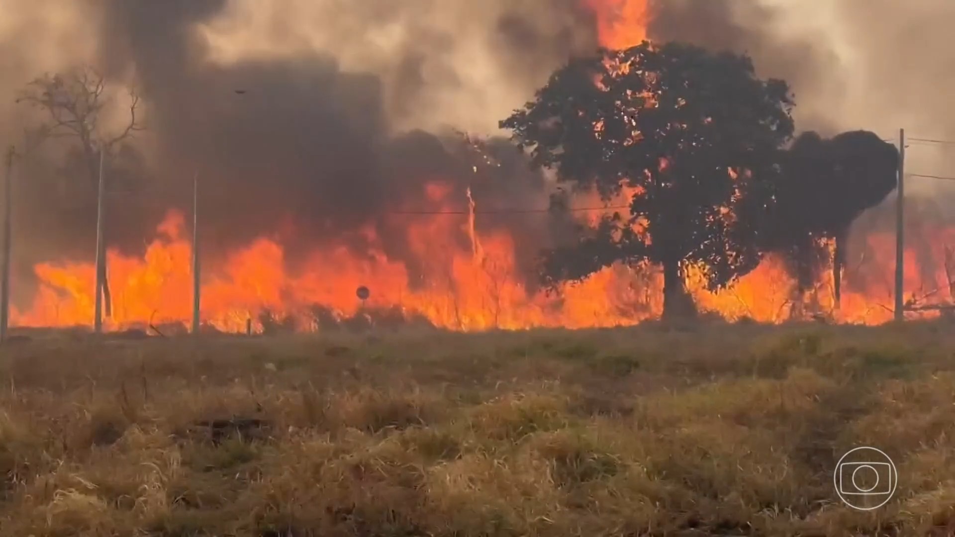 Chapada dos Veadeiros sofre com terceiro incêndio em menos de duas semanas