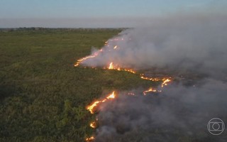 Com tendência de aumento no desmate, Pantanal enfrenta diminuição da área alagada e mais queimadas; veja cenário