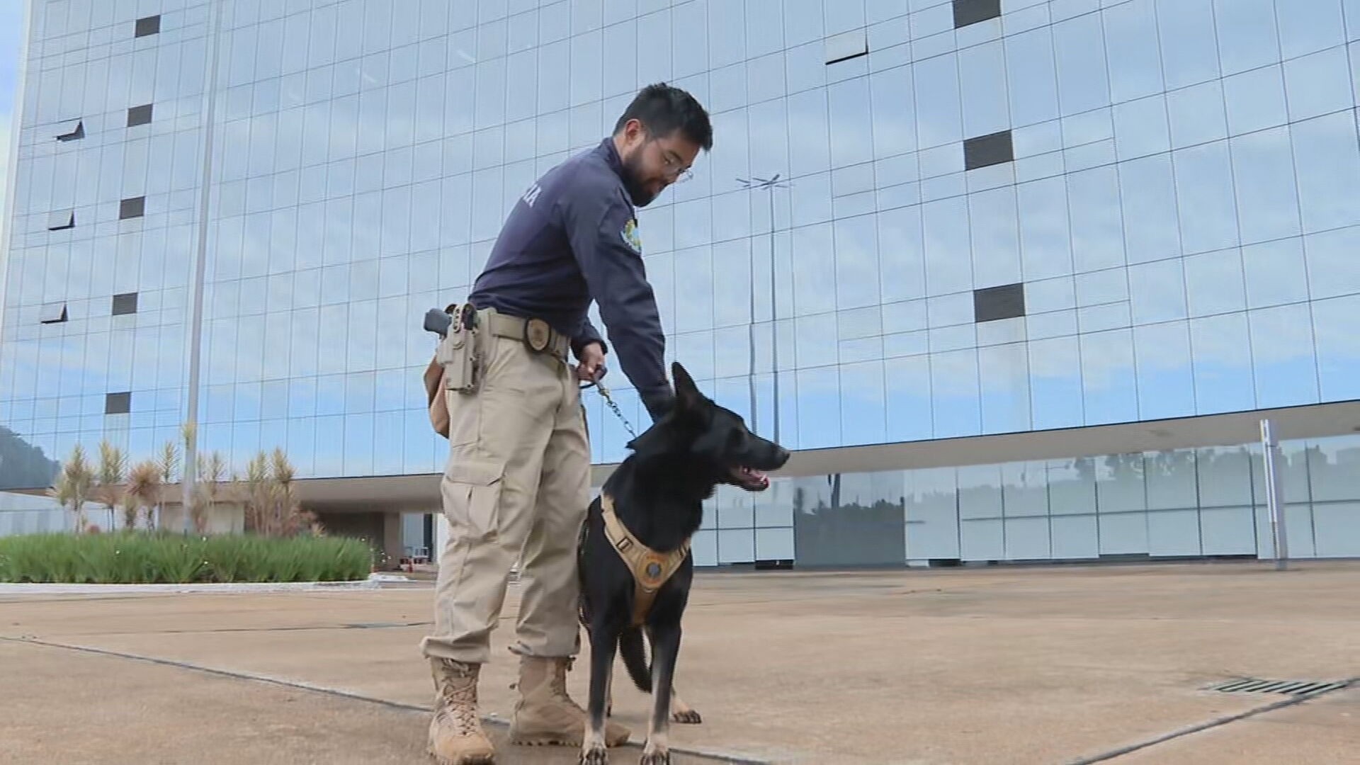 Cães farejadores reforçam segurança para julgamento — Foto: TV Globo/Reprodução