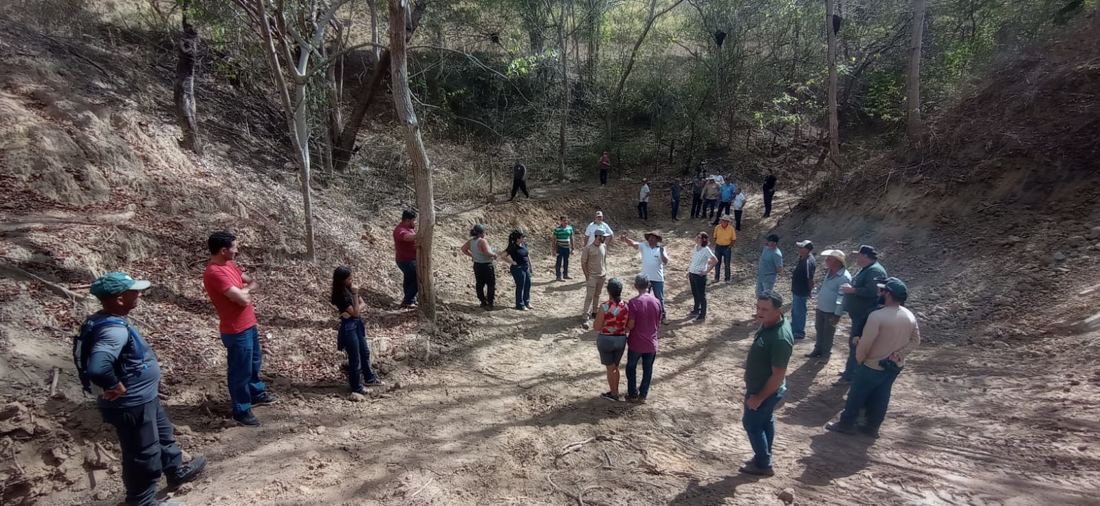 Dia de Campo promove o uso de práticas de conservação de solo e água na recuperação de pastagens
