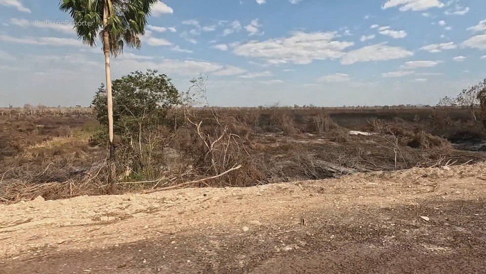 A suspeita de origem criminosa nos incêndios no Pantanal — Foto: Reprodução/TV Globo