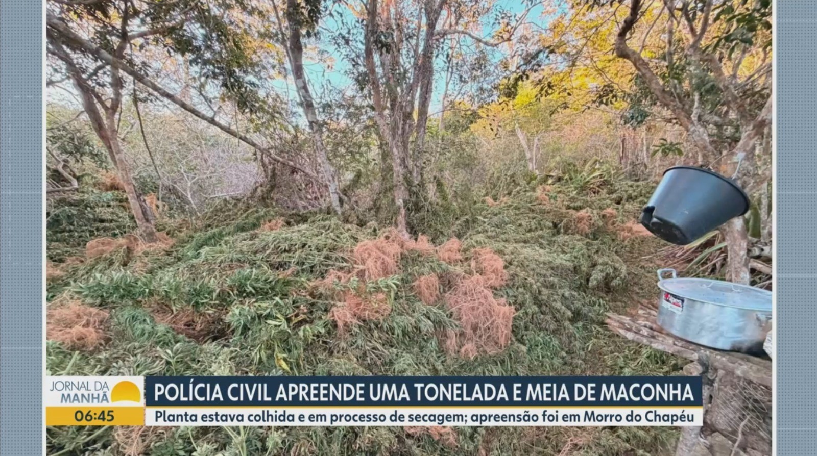 Vídeos do g1 e TV Bahia - quarta-feira, 8 de julho de 2026