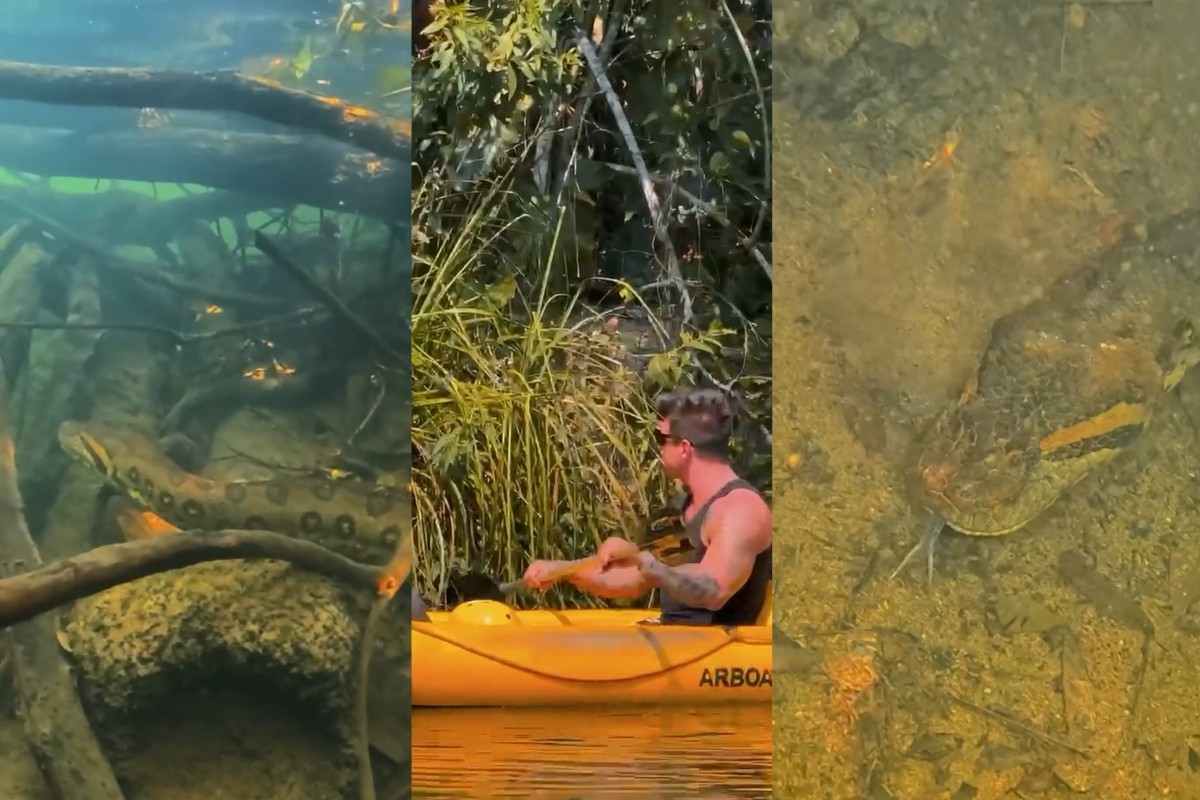Bonito: o paraíso onde Fernando Fernandes nadou com sucuri gigante
