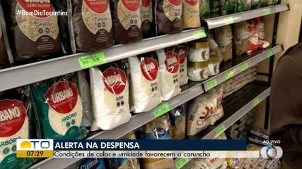 Calor e umidade favorecem caruncho em alimentos; saiba como evitar