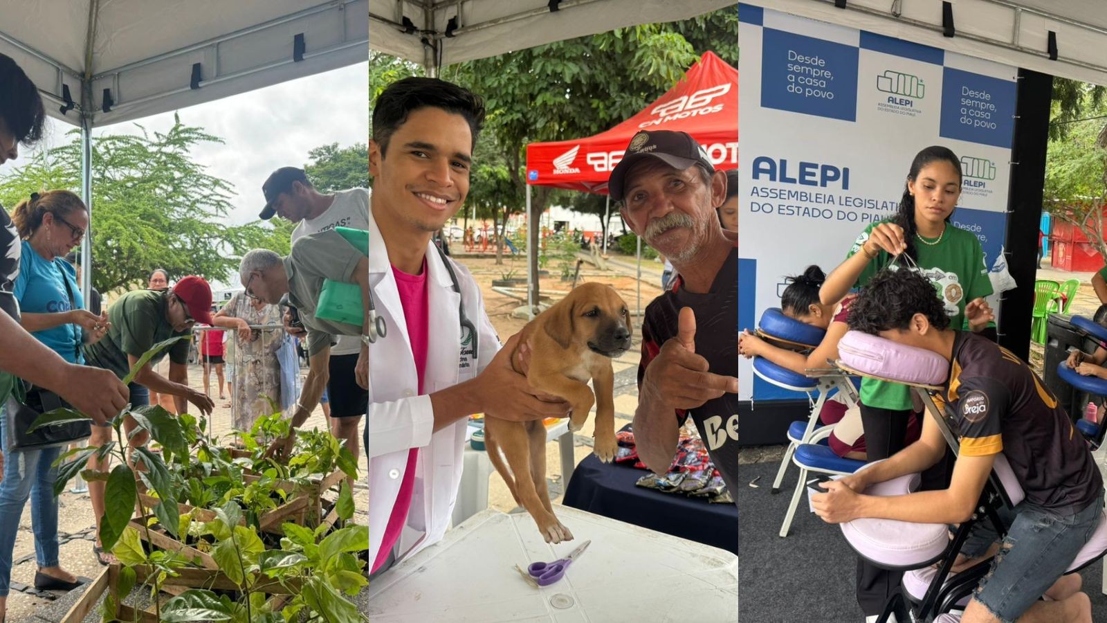 Assembleia em Ação: Moradores formam fila na madrugada para aproveitar mais de 80 serviços gratuitos