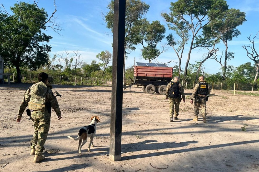 Fazenda que usava terra da União para criação de gado é investigada por fraude e incêndio — Foto: PF/Divulgação