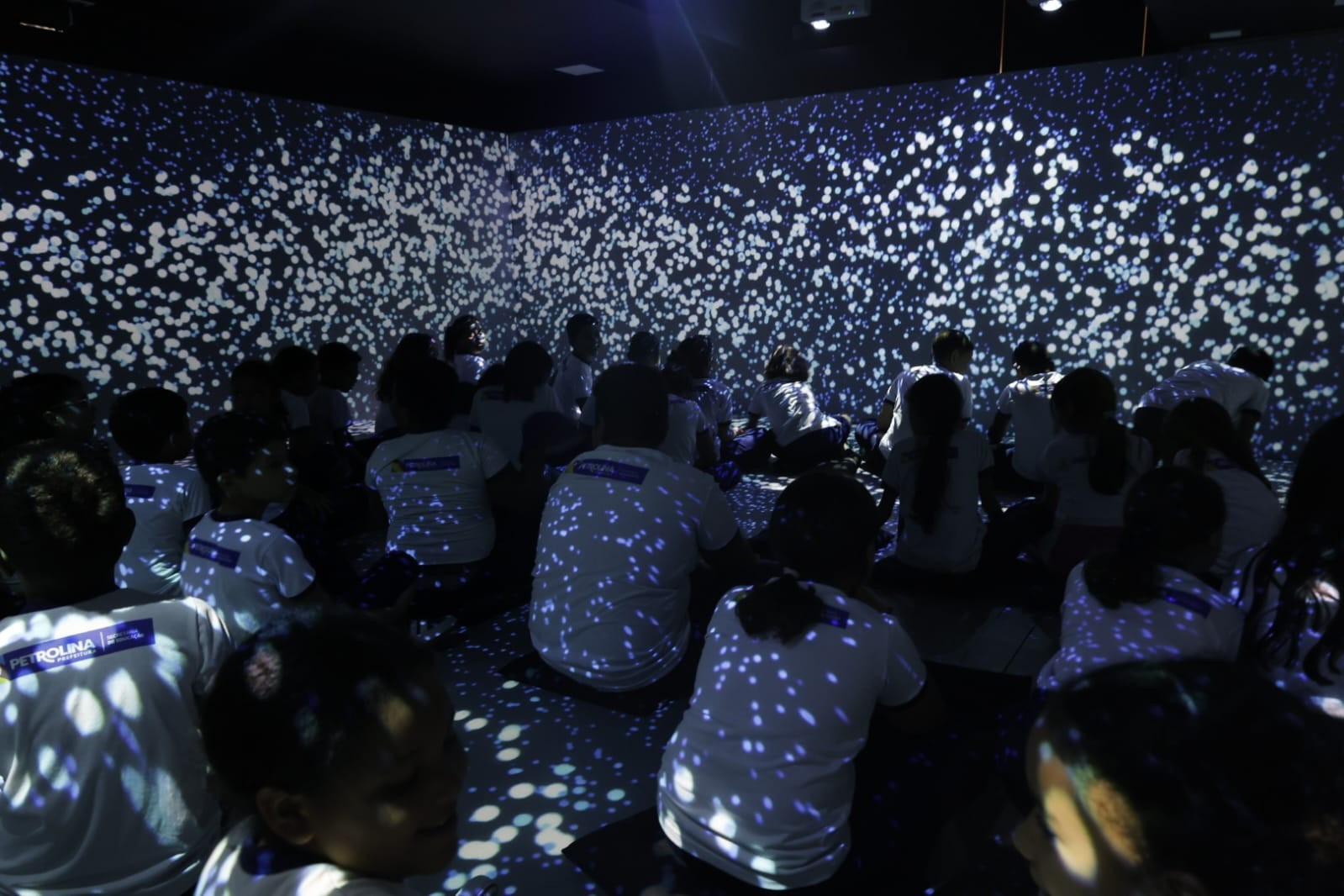 'Oceanvs': Petrolina recebe exposição com projeções em 3D que simulam o fundo do mar 