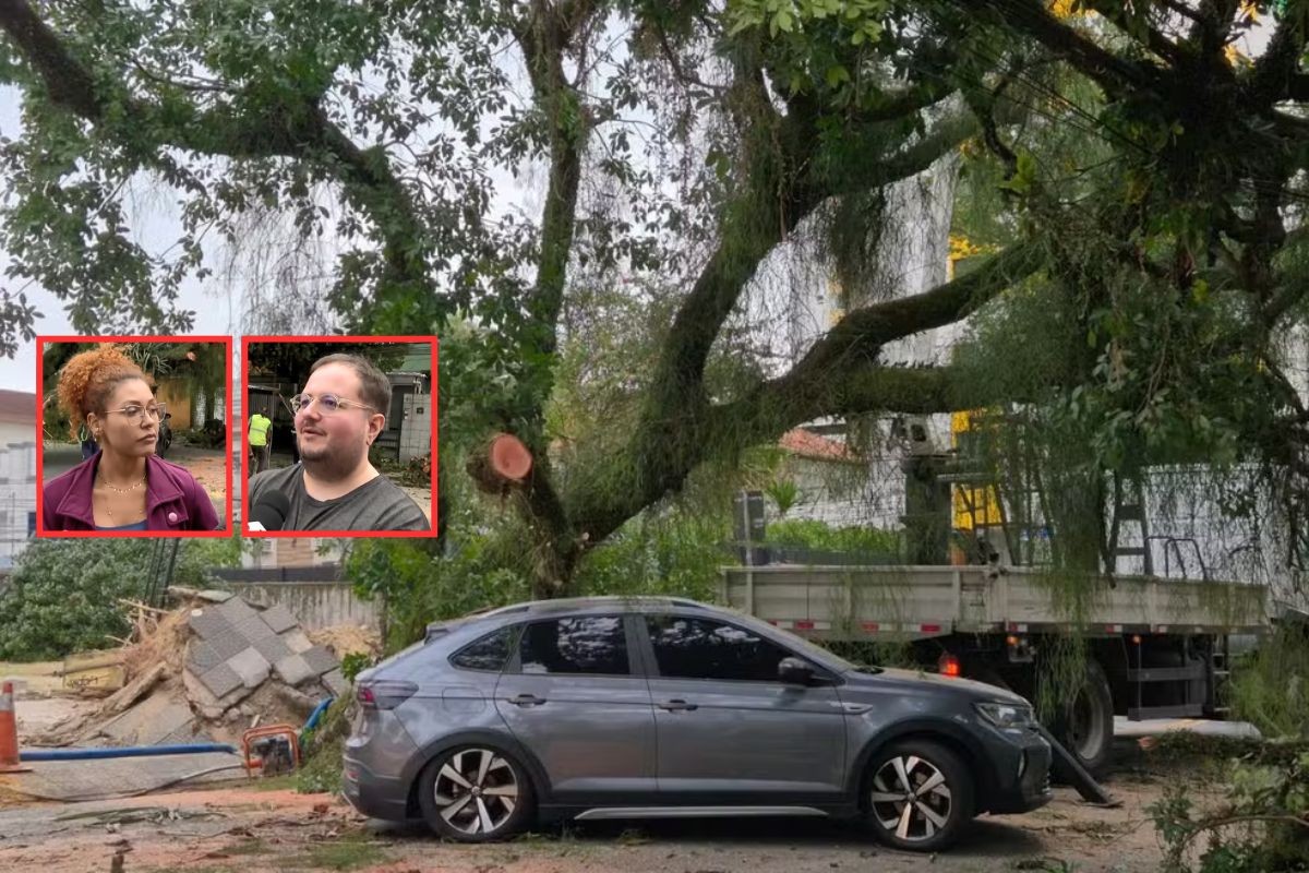 Casal escapa por 'questão de segundos' após árvore cair sobre carro no litoral de SP
