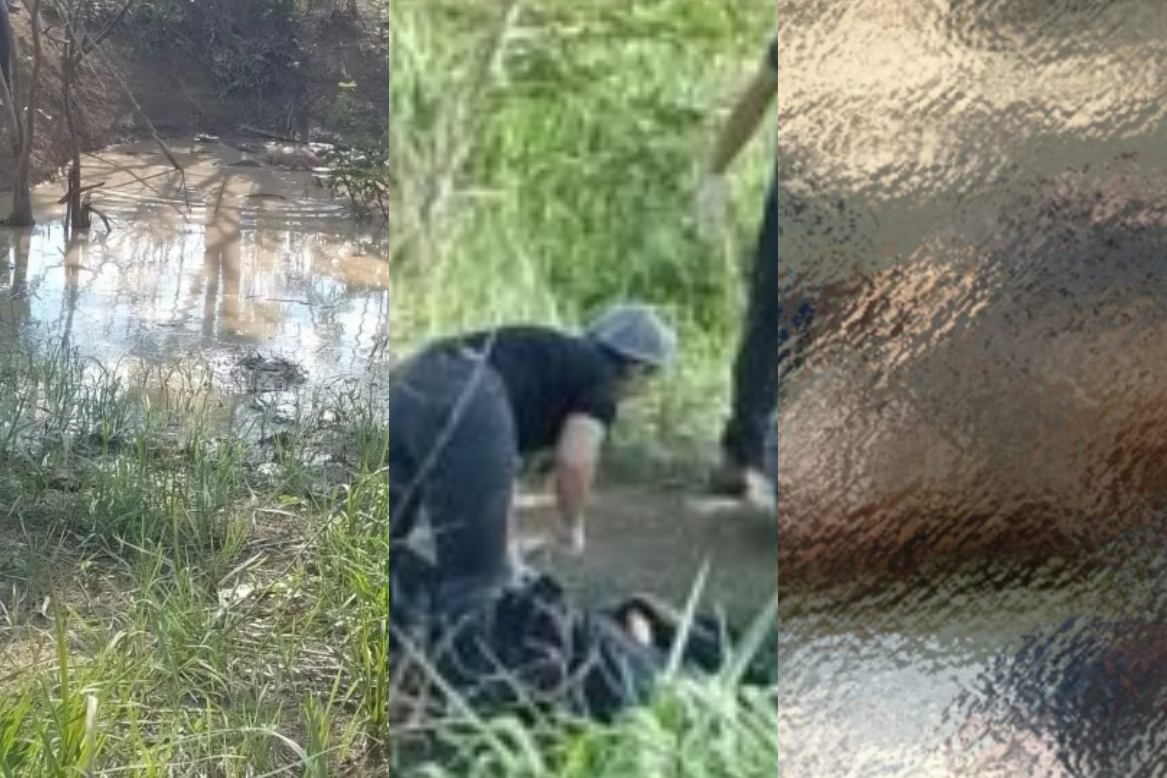 Agricultora vai procurar suíno em sítio e encontra corpo de homem com cabeça dentro de poça; polícia tenta identificar 