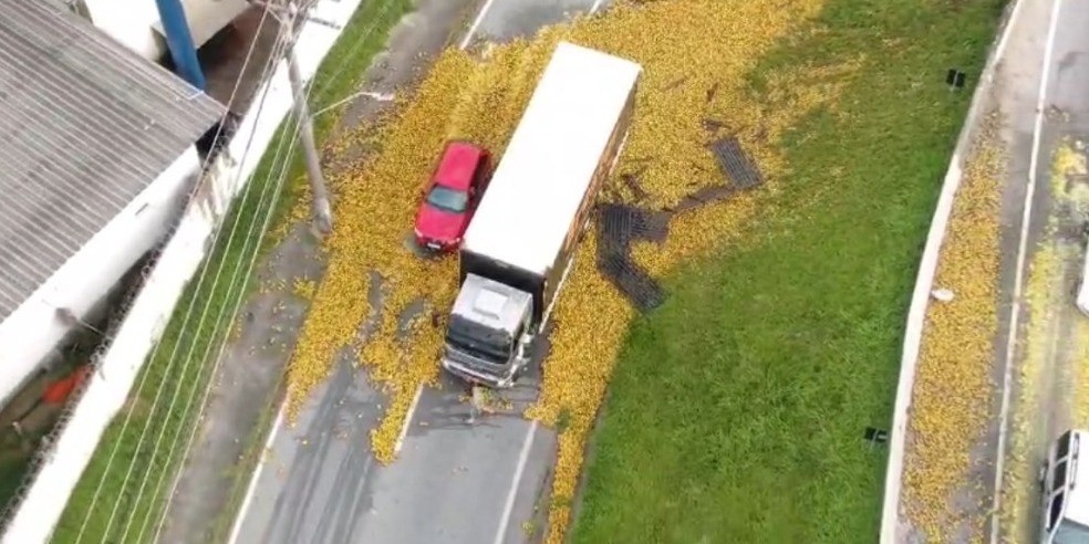 Laranjas caem de caminhão e carga fica espalhada em rodovia da Grande Florianópolis; FOTOS