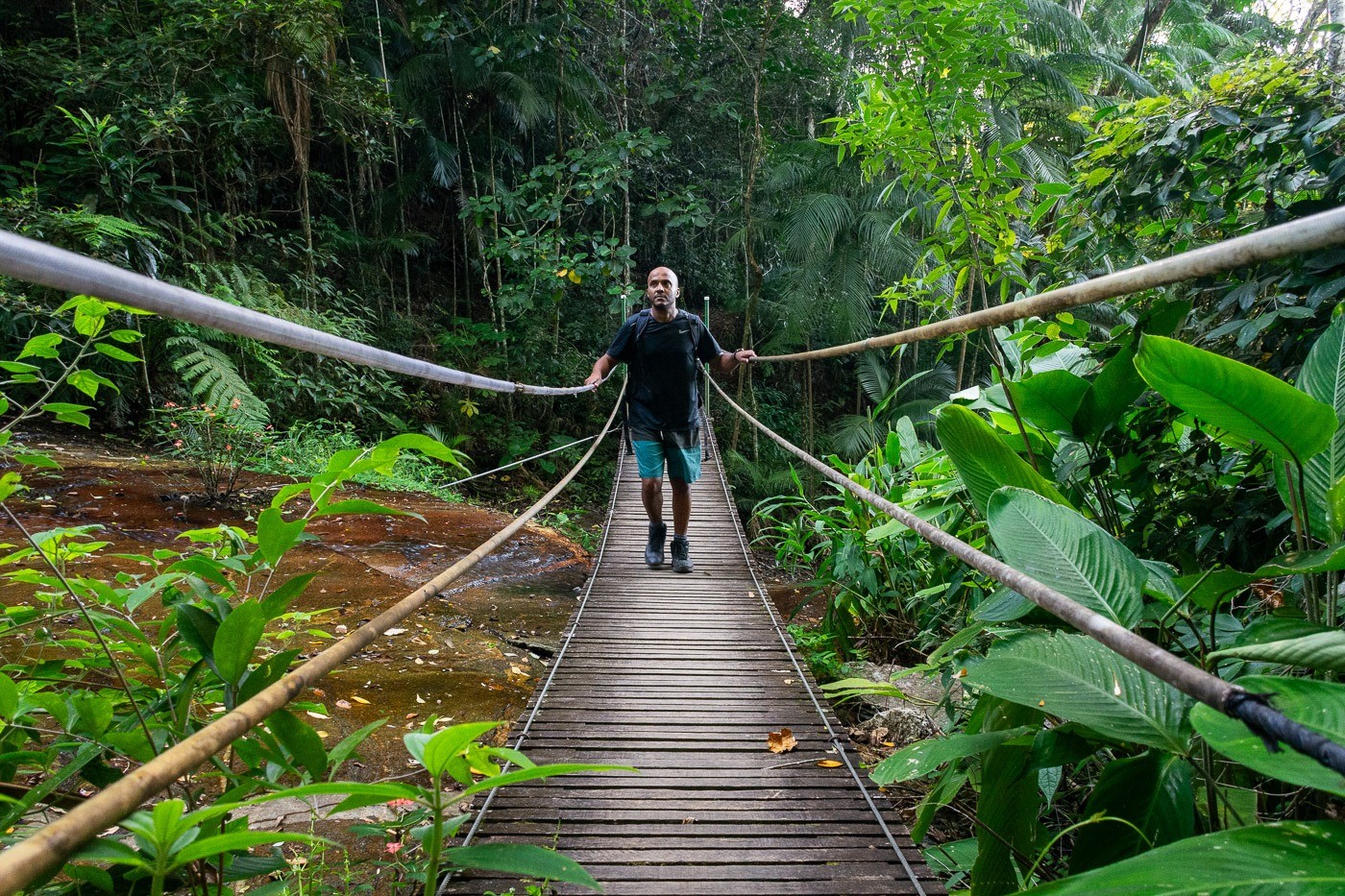 Parque Nacional da Tijuca bate recorde de visitantes em 2025 e segue como o mais frequentado do país
